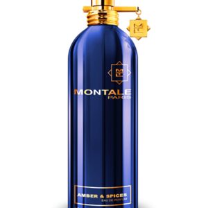 Montale Aoud & Pine EDP 100 ML